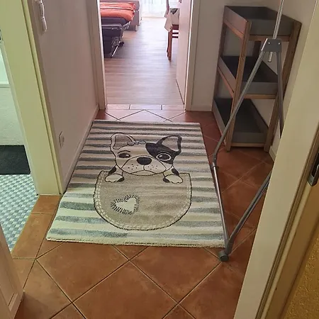 Appartement Urlaub In Herzen Des Bayerischen Waldes