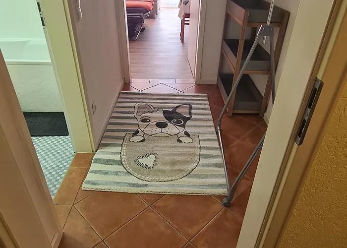 Appartement Urlaub In Herzen Des Bayerischen Waldes